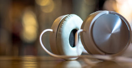 Praesent lobortis leo mi